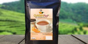 Golden Pint Orange Tea (Seasonal)