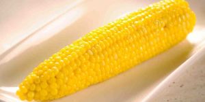 Corn Cobs