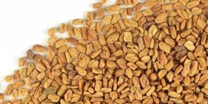 Fenugreek Seeds
