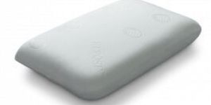 Memory Foam Pillow