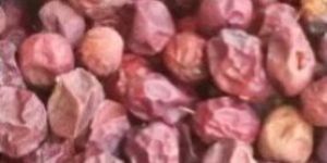 Natural Jujube Fruit