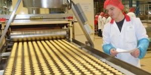 Biscuit Cooling Conveyor