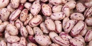 Speckled Kidney Beans