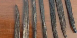 Vanilla Beans