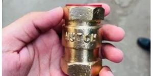 Vertical Check Valve