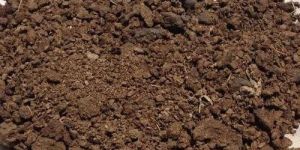 Cow Dung Powder