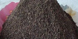 Vermicompost Powder