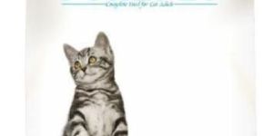 Purepet Ocean Adult Cat Food