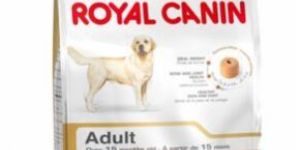 Royal Canin Labrador Retriever Dog Food