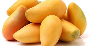 FRESH DUSSEHRI MANGO