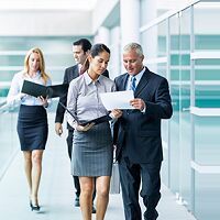 Placement Consultant