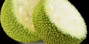 Fresh Jackfruit
