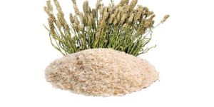 Psyllium Husk