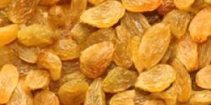 Golden Raisins