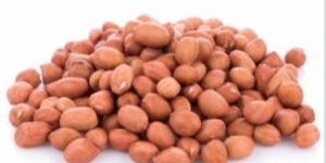Groundnut Kernels
