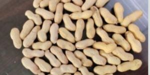 Shelled Groundnuts