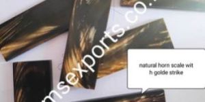 Honey Water Buffalo Horn Scale