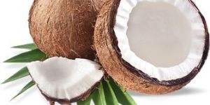 Fresh Coconut