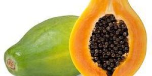 Fresh Papaya