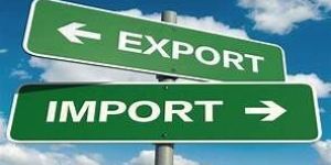Import Export Code Registration Services
