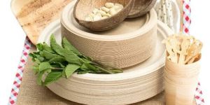 Areca Palm Leaf Square plate 8