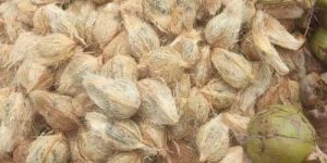 Pollachi Nature Fresh Coconut