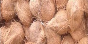 Semi Husked Export Coconut