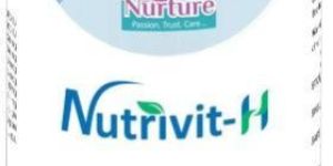 Nutrivit H