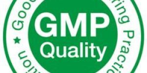 GMP Certification