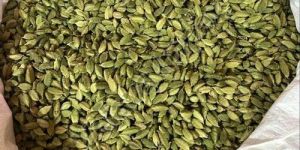8mm Green Cardamom