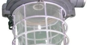 Flameproof LED Light