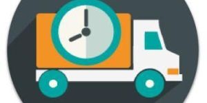 Pre Shipment Services