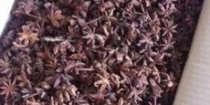 Natural Star Anise