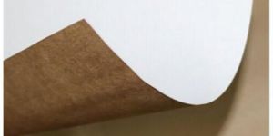 White Top Kraft Liner