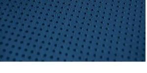 Perforated Leather