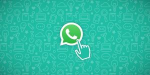 Whatsapp Promotion Services