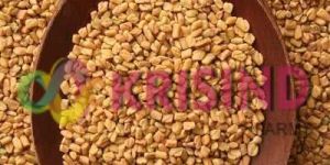 Fenugreek Seed