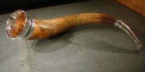 Big Drinking Horns