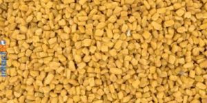 Fenugreek Seeds