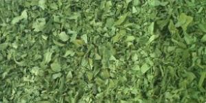 Moringa Leaves