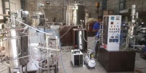 Pilot Scale Fermentor