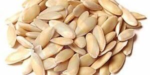 Organic Muskmelon Seeds