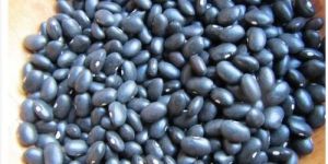 Kashmiri Vermouth Dal