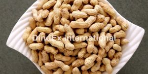 Pure Shelled Peanuts