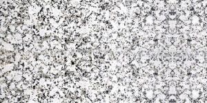 P White Granite Slabs