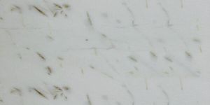 Pista Gray Marble Slabs