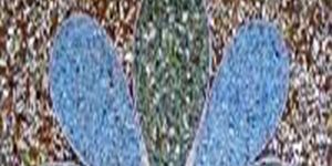 Terrazzo Marble Chips