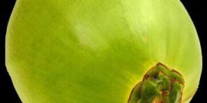 Organic Tender Coconut