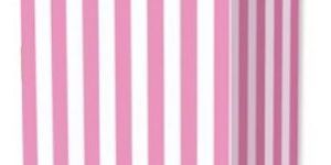 Striped Food Paper Bags