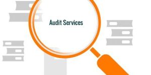 Stock Audit Services